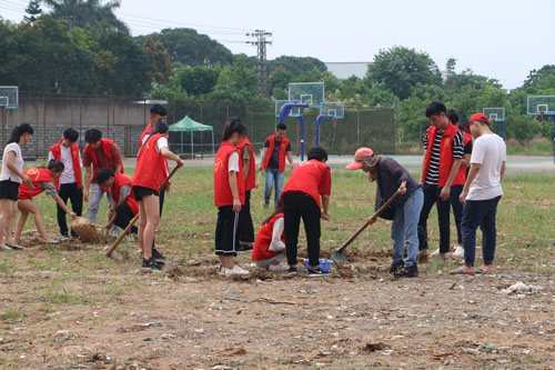 专业教师指导播种技巧