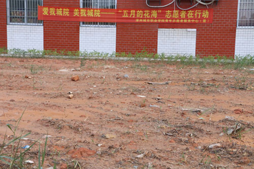 学院开展“五月的花海”活动