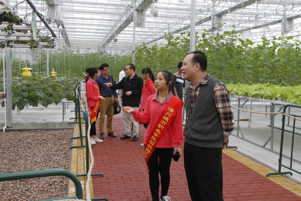 我系学生在花博园实习