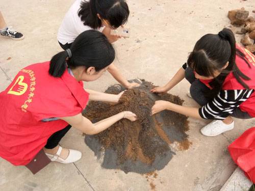志愿者在教师指导下拌花种